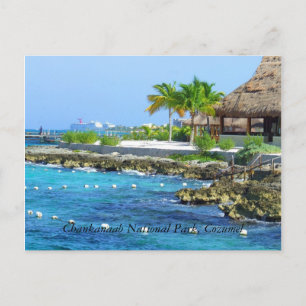Cozumel Mexico Chankanaab Park Briefkaart