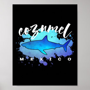 Cozumel Mexico Haai Scu Diver Lentevakantie Poster