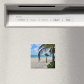 Cozumel Mexico Magneet (Insitu (Vaatwasser))