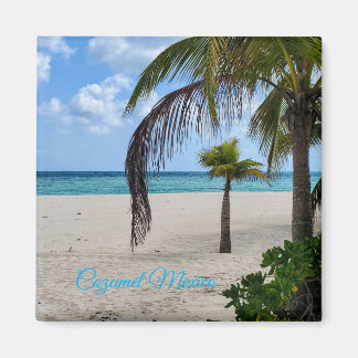 Cozumel Mexico Magneet