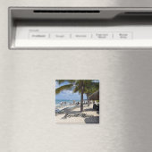 Cozumel, Mexico Magneet (Insitu (Vaatwasser))