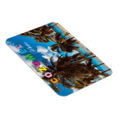 Cozumel Mexico Reis Souvenir Magneet (Rechterzijde)