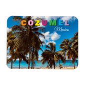 Cozumel Mexico Reis Souvenir Magneet (Horizontaal)