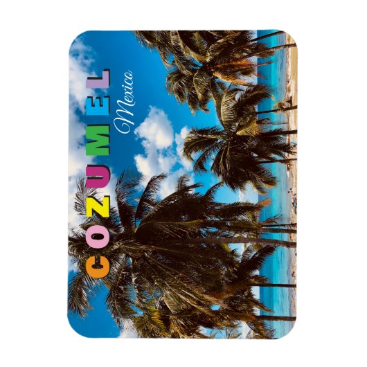 Cozumel Mexico Reis Souvenir Magneet (Verticaal)