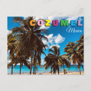 Cozumel Mexico Reizen Briefkaart