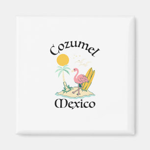 Cozumel Mexico Souvenir Vakantie Reis Mannen Vrouw Magneet