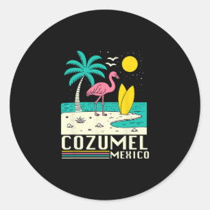 Cozumel Mexico Souvenir Vakantie Reis Mannen Vrouw Ronde Sticker