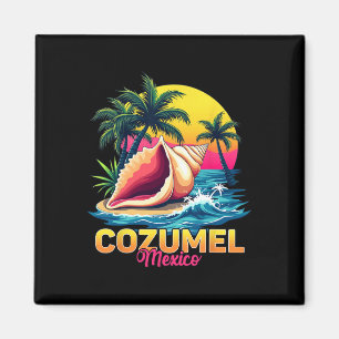 Cozumel Mexico Strand Caraïbische Vakantie Reizen Magneet