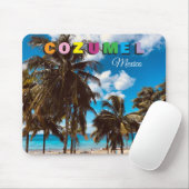 Cozumel Muismat Mexico (Met muis)
