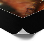 Cozumel - Oranje zeepaardje #2 Poster (Hoek)