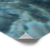 Cozumel Queen Triggerfish Poster (Hoek)