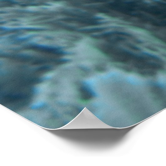 Cozumel Queen Triggerfish Poster (Hoek)