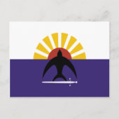 Cozumel, Quintana Roo, Mexico-vlag Briefkaart (Voorkant)