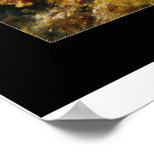 Cozumel Reef Poster (Hoek)