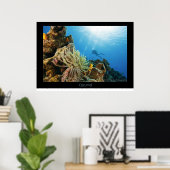 Cozumel Reef Poster (Thuiskantoor)