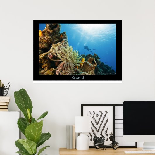 Cozumel Reef Poster (Thuiskantoor)