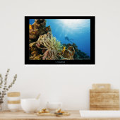 Cozumel Reef Poster (Keuken)