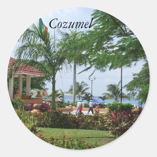 Cozumel tropische palmboom Stickers (Voorkant)