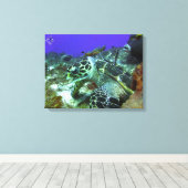 Cozumel Turtle #3 Canvas Afdruk (Insitu (Houten vloer))