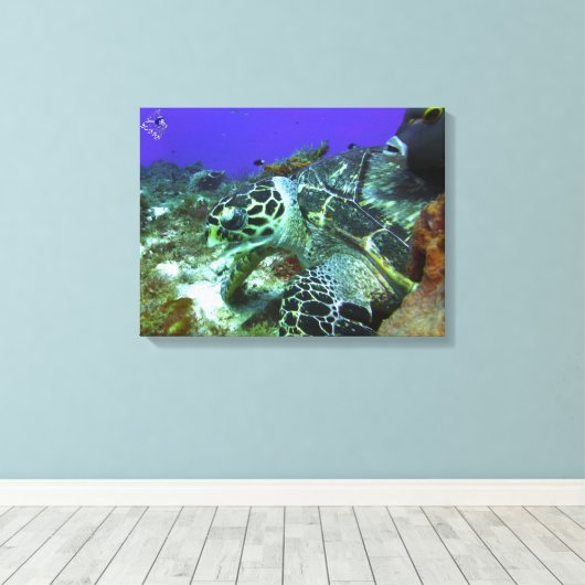 Cozumel Turtle #3 Canvas Afdruk (Insitu (Houten vloer))