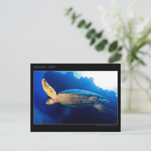 Cozumel - Turtle Briefkaart (Staand voorkant)