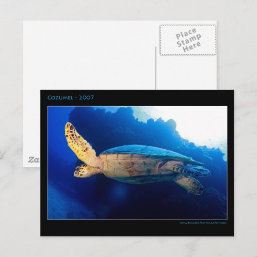 Cozumel - Turtle Briefkaart (Voorkant / Achterkant)