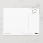 Cozumel - Turtle Briefkaart (Achterkant)