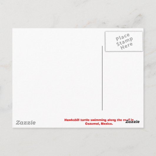 Cozumel - Turtle Briefkaart (Achterkant)