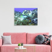 Cozumel Turtle Canvas Afdruk (Insitu (Woonkamer))
