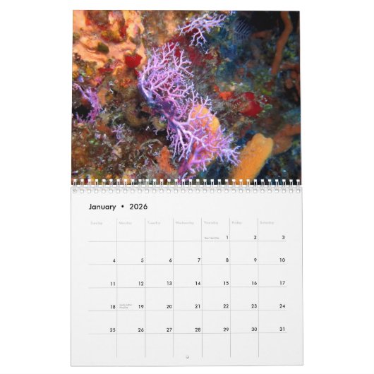 Cozumel Underwater 2014 Kalender (Jan 2026)