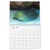 Cozumel Underwater 2014 Kalender (Mar 2027)