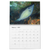 Cozumel Underwater 2014 Kalender (Feb 2027)