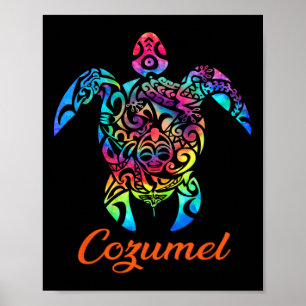 Cozumel Zee Schildpad Familie Vakantie Zomer 2025 Poster