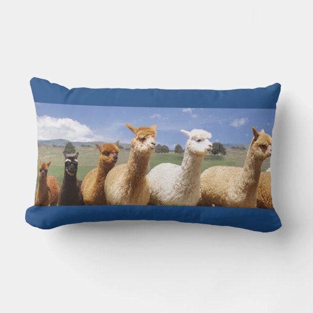 Cozy Alpaca Lumbar Pillow Kussen (Voorkant)