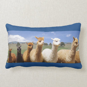 Cozy Alpaca Lumbar Pillow Kussen