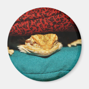 Cozy Bearded Dragon Magneet