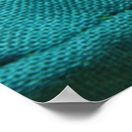 Cozy Bearded Dragon Poster (Hoek)