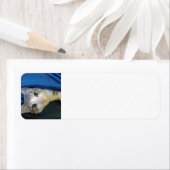 Cozy Bengal Cat Bobby Return Label (Insitu)