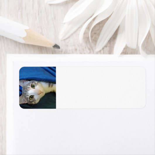 Cozy Bengal Cat Bobby Return Label (Insitu)