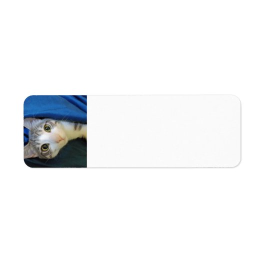 Cozy Bengal Cat Bobby Return Label (Voorkant)