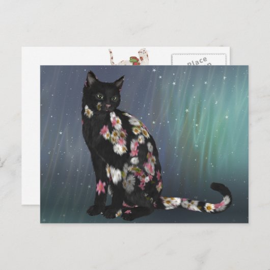 Cozy Black Daisy Cat Briefkaart (Voorkant / Achterkant)