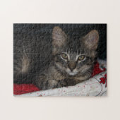 Cozy Cat Caspian Puzzle Legpuzzel (Horizontaal)