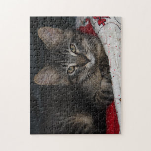 Cozy Cat Caspian Puzzle Legpuzzel