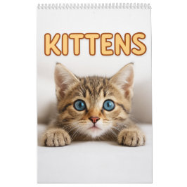 Cozy Cat Fotografie | Mooie Kitten Kat Muur  Kalender