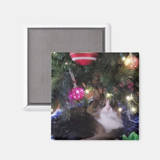 Cozy Cat onder kerstboom Magneet (Voorkant / Achterkant)