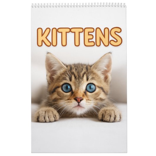 Cozy Cat Photography | Cute Kitten Cat Wall  Kalender (Hoes)