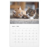 Cozy Cat Photography | Cute Kitten Cat Wall  Kalender (Mar 2026)