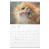 Cozy Cat Photography | Cute Kitten Cat Wall  Kalender (Jan 2026)