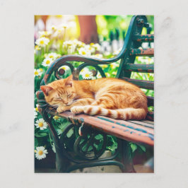 Cozy Cat Sleeping in Garden on Bench Briefkaart