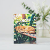 Cozy Cat Sleeping in Garden on Bench Briefkaart (Staand voorkant)